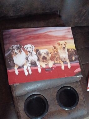 $4 Add-on Poster With Dogs and Cat on Red Truck